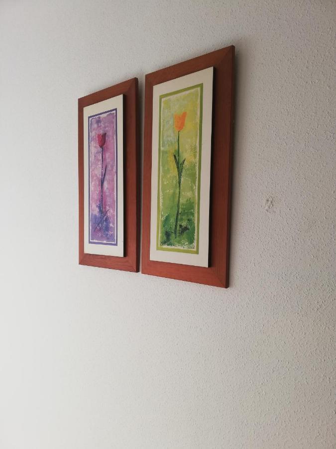 Apartamento Naturista En Primera Linea En Natura World! مْبيرا المظهر الخارجي الصورة